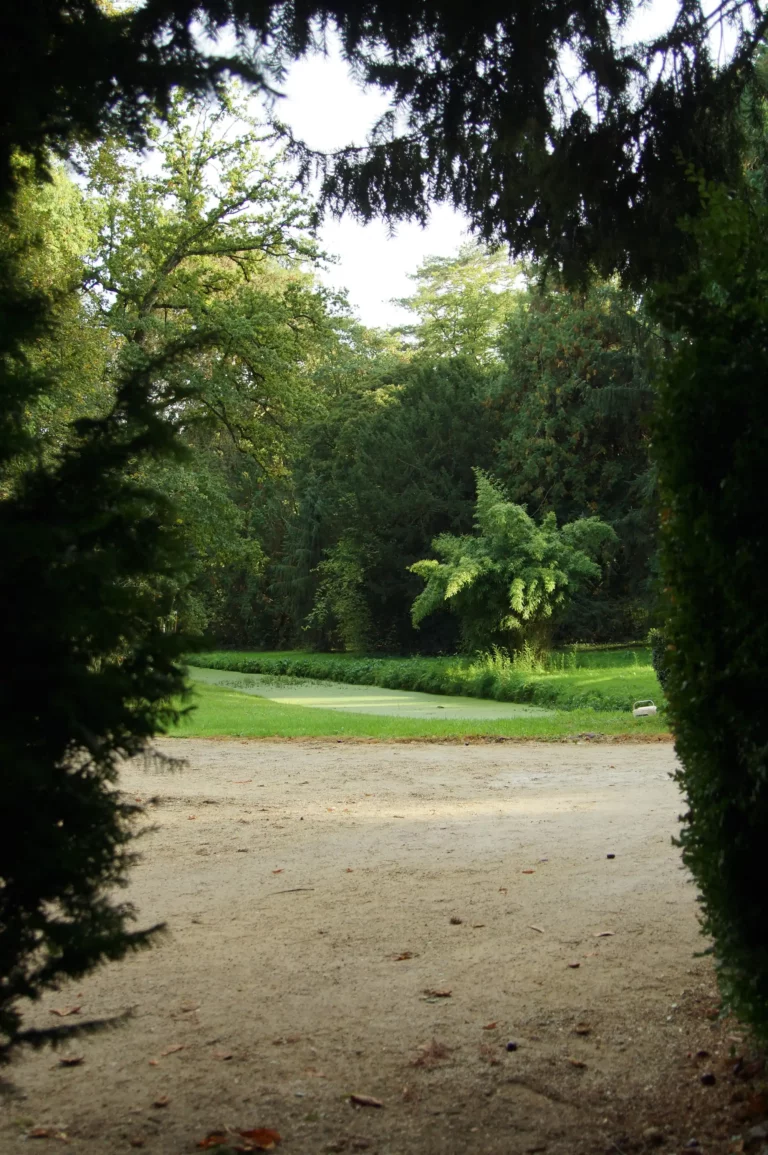 Parc à l'anglaise du Château de Blossac et ses arbres remarquables, près de Rennes